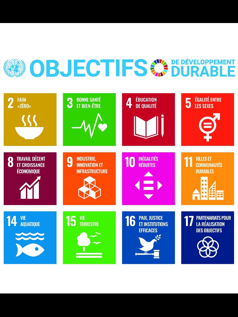 Poster des 17 objectifs de développement durable de l'ONU