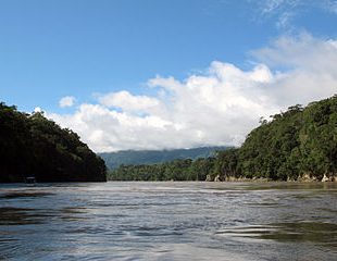 fleuve Amazone
