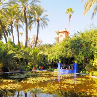 Photographie du jardin des Majorelle à Marrakech au Maroc