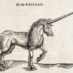 gravure de licorne