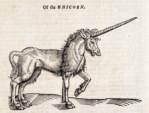 gravure de licorne