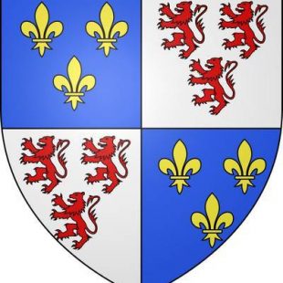 projet de blason picard