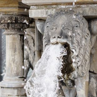 fontaine à gueule de lion