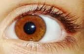 gros plan d'un oeil marron
