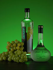 photo de bouteilles de Pisco sur fond vert