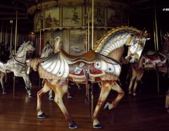 photographie d'un cheval de manège ancien