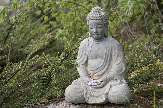 Photographie de Bouddha assis dans la verdure
