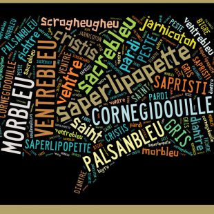 nuage de tags jurons