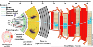 Coupe d'un détecteur CMS (Solénoïde compact pour muons)