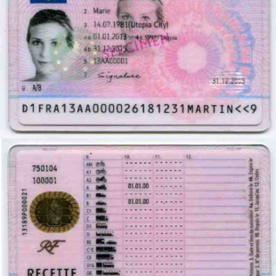 Photo de permis de conduire recto verso