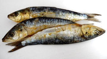 photographie de trois sardines cuites
