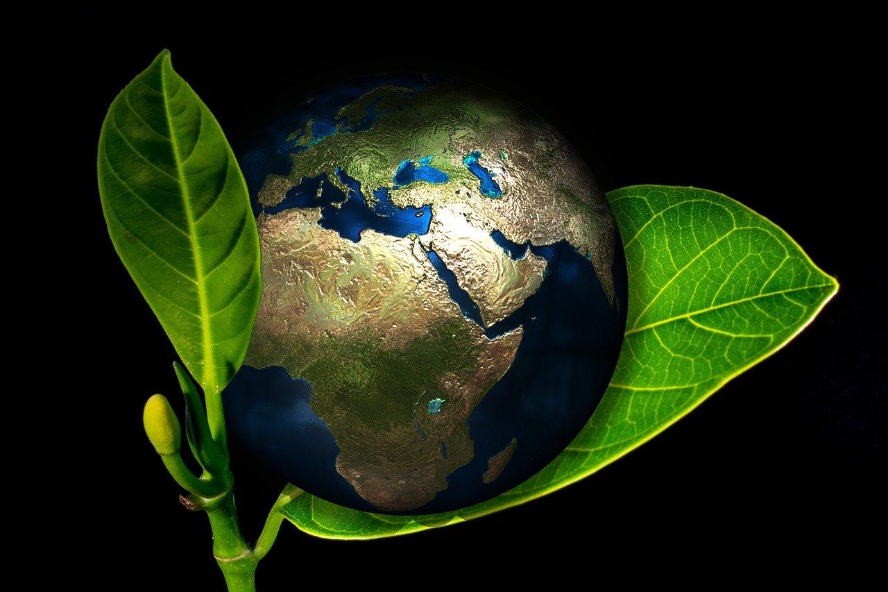 Planète Terre posée sur une feuille par Gerd Altmann de Pixabay