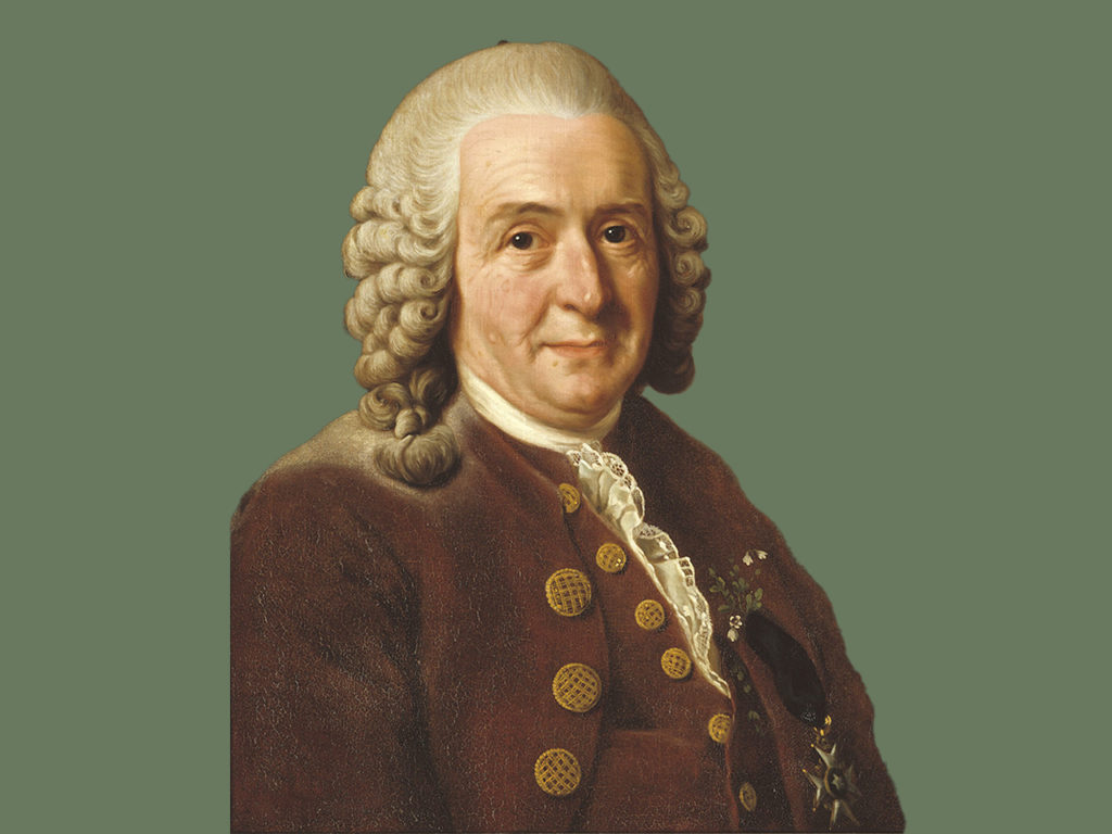 Portrait de Carl von Linné