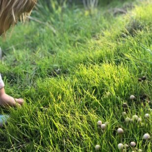 Enfant agenouillé dans l'herbe verte qui arrache des bruns d'herbe