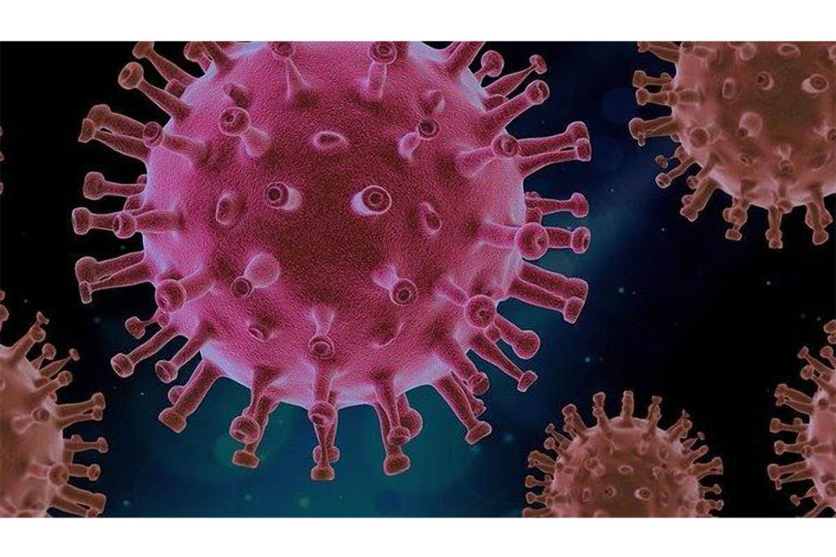 image au microscope du covid-19