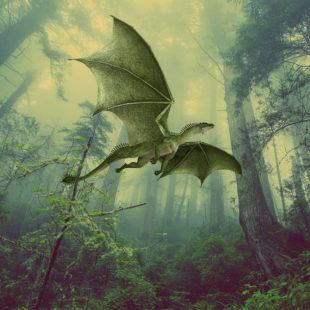 illustration représentant un dragon