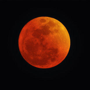 photographie d'une lune rousse