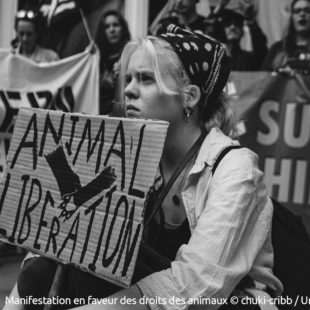 Manifestation en faveur des droits des animaux
