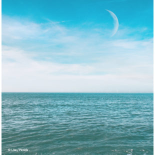 mer calme devant la lune