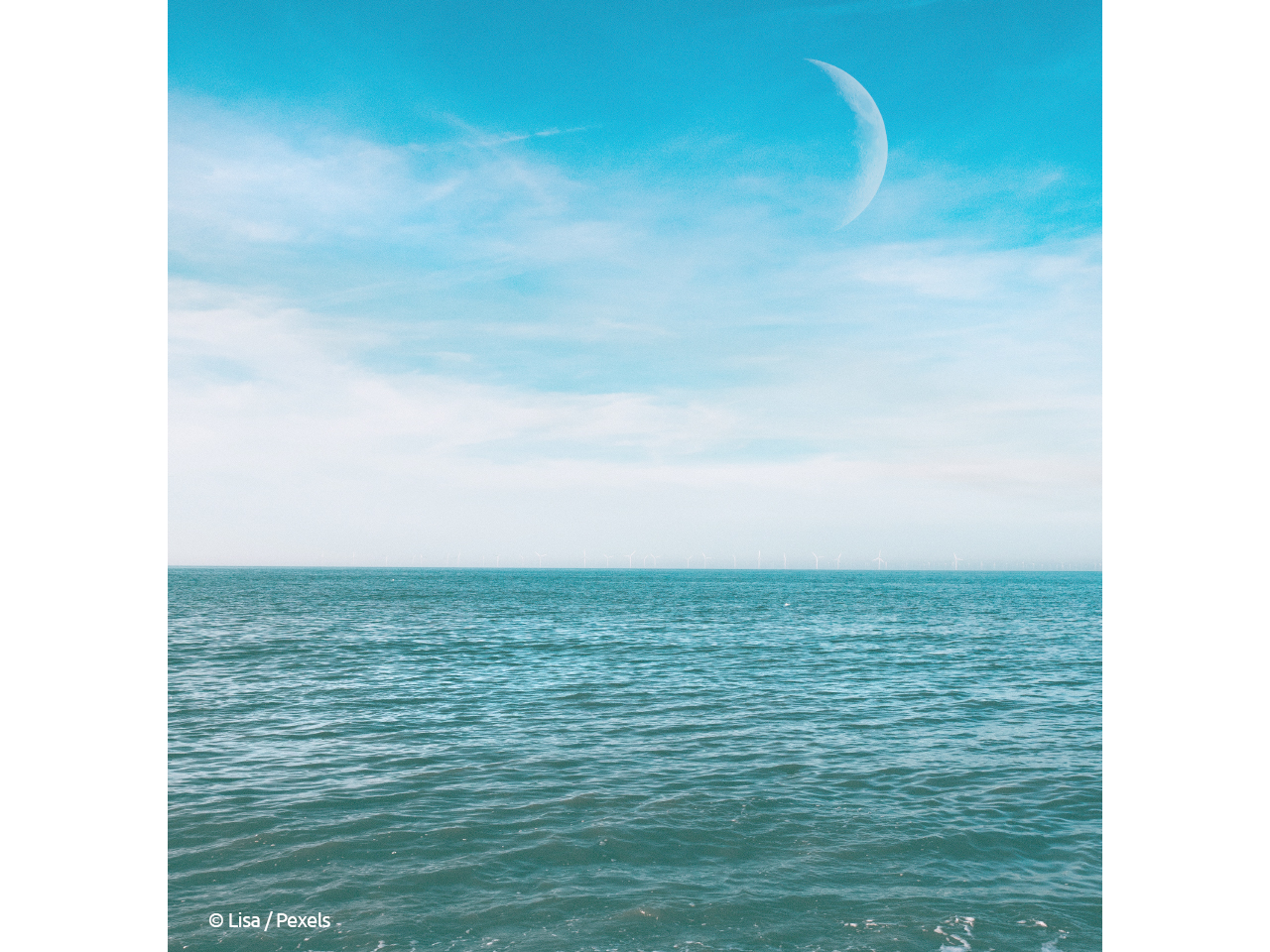 mer calme devant la lune