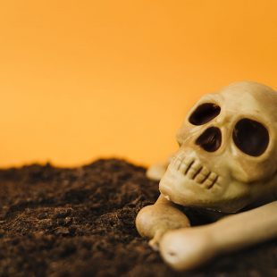 Tête de mort et os posés sur la terre avec un fond jaune